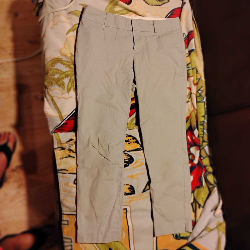 Banana Republic Women's Light Gray Trousers
